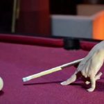 How To Hold A Pool Stick